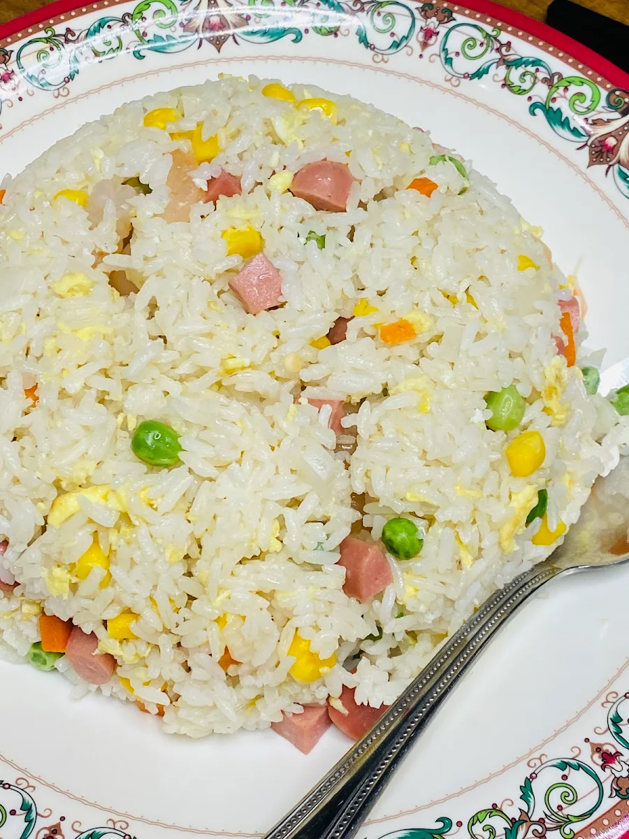 yang chow fried rice 扬州炒饭, Magical Taste of China